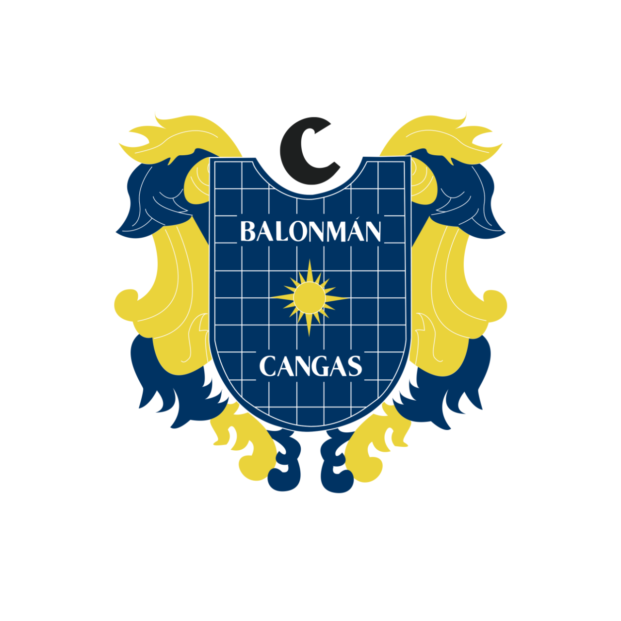 Balonmán Cangas